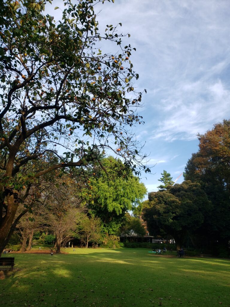 東京都庭園美術館