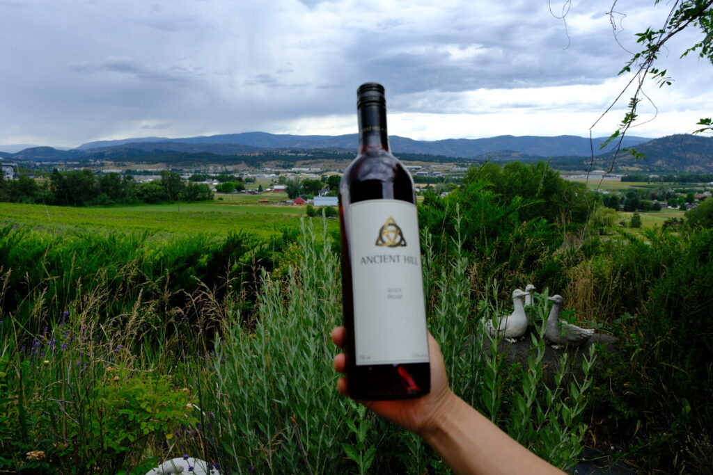 Ancient Hill Baco Noir テイスティング