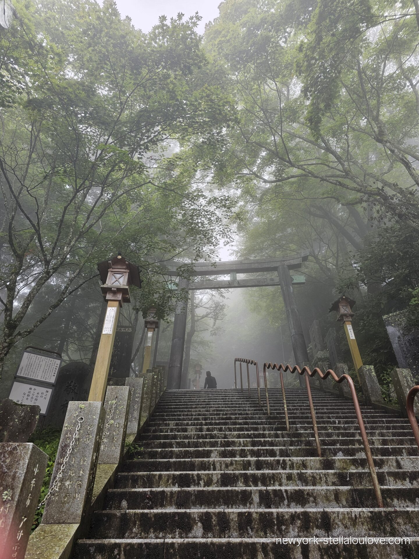 霧に包まれた武蔵御嶽神社の鳥居と石段