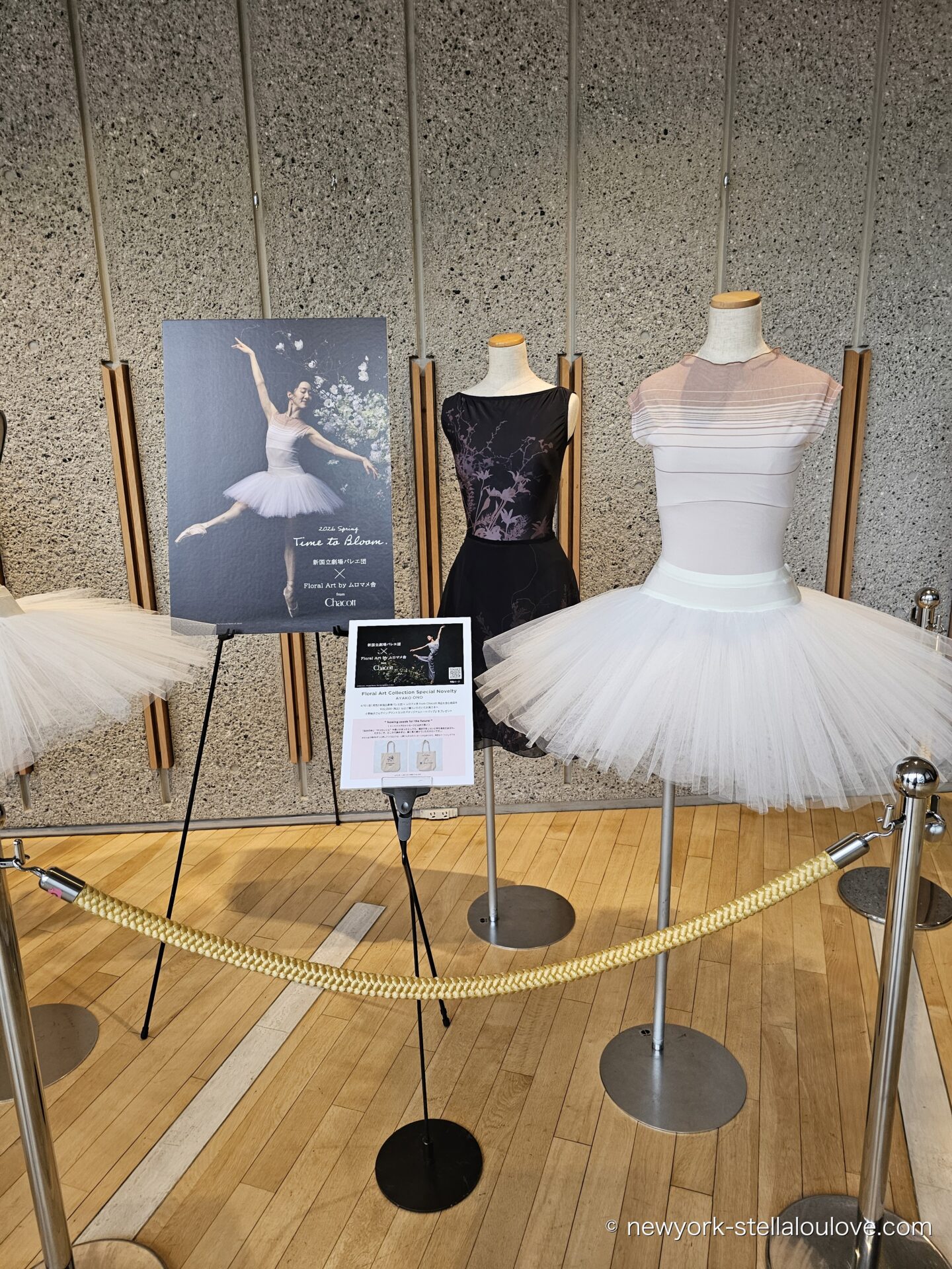 Time to Bloom 衣装展示、別アングル
